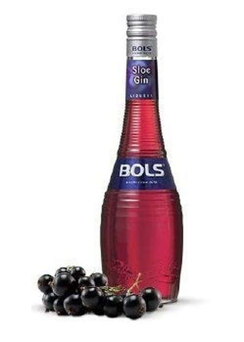 Bols Sloe Gin 700ml bottle with red liqueur and blackthorn berries