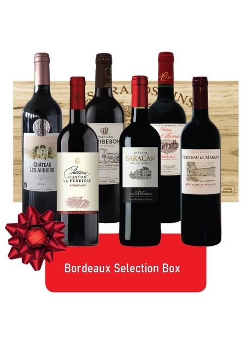 Bordeaux wine multipack of six bottles with red bow gift box