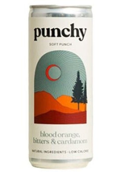 
            
                Load image into Gallery viewer, Punchy Blood Orange Bitters &amp;amp; Cardamom Can 250ML
            
        